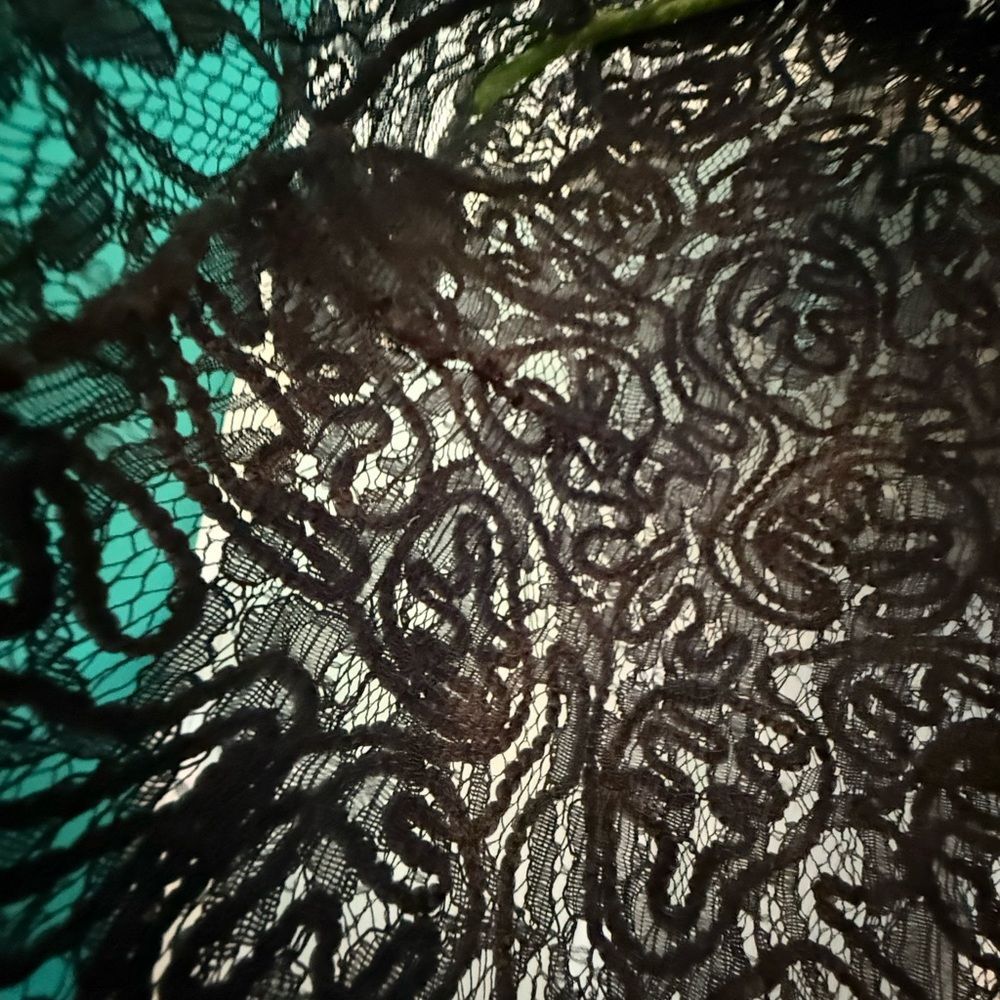 Level Eight Sheer Lace Boxy Short Sleeve Blouse | Gray S/M - Picture 5 of 5